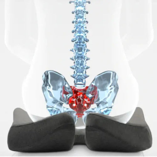 Sætispúði - Fyrir Bak og Mjaðmir